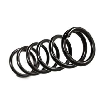 BDS Coil Springs Front 4 in Lift